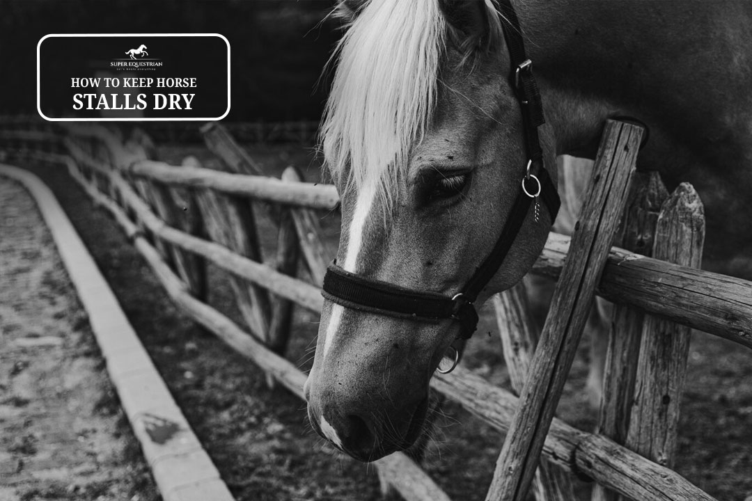 How To Keep Horse Stalls Dry No More Muddy Mess!!